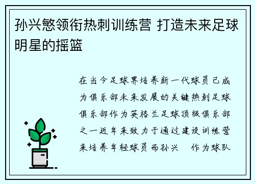 孙兴慜领衔热刺训练营 打造未来足球明星的摇篮