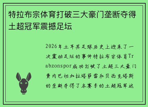 特拉布宗体育打破三大豪门垄断夺得土超冠军震撼足坛 特拉布宗体育打破三大豪门垄断夺得土超冠军震撼足坛